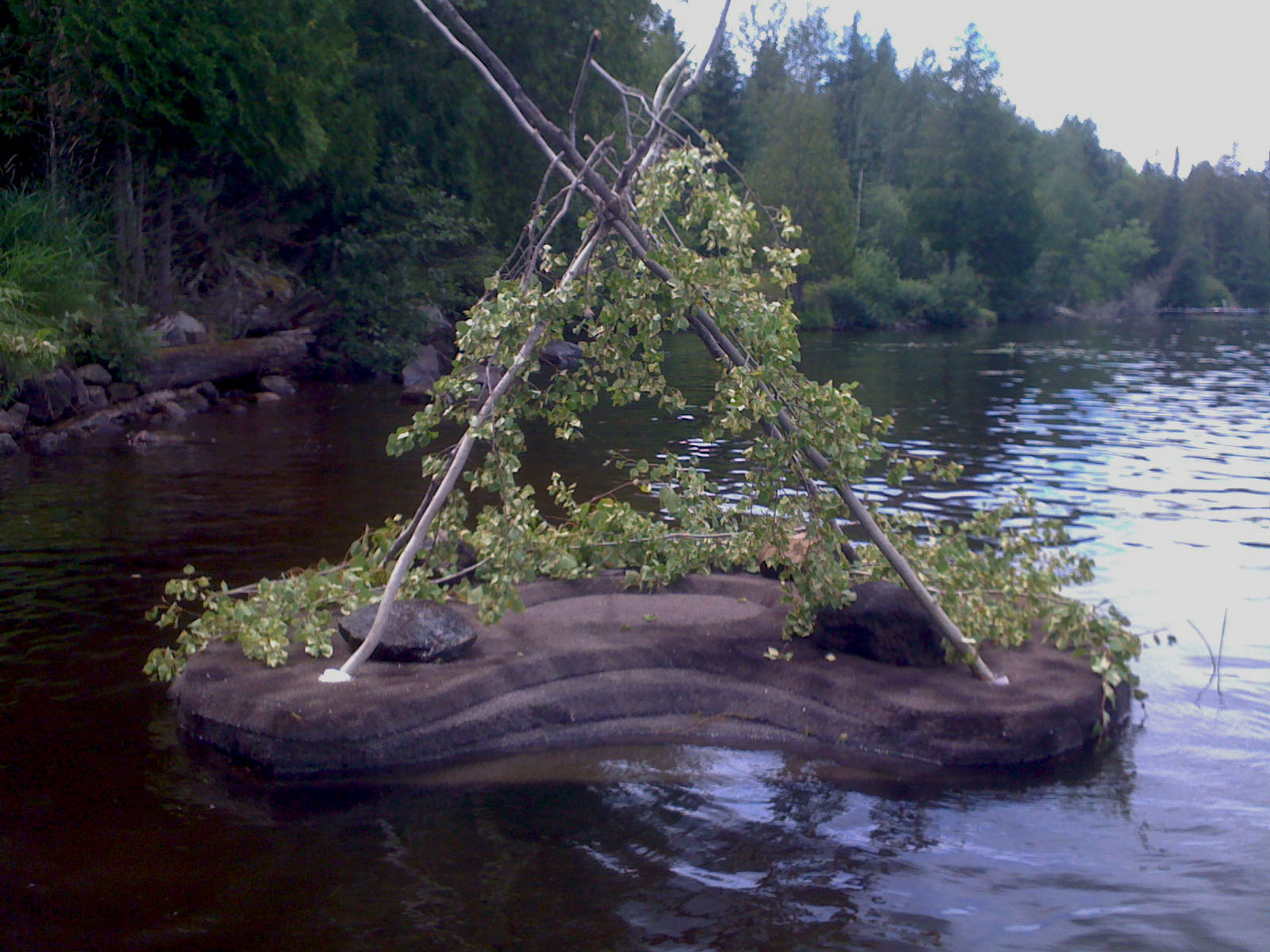 Floating Water Quality Islands in Hicklin Lake, White Center - Canadian Pond