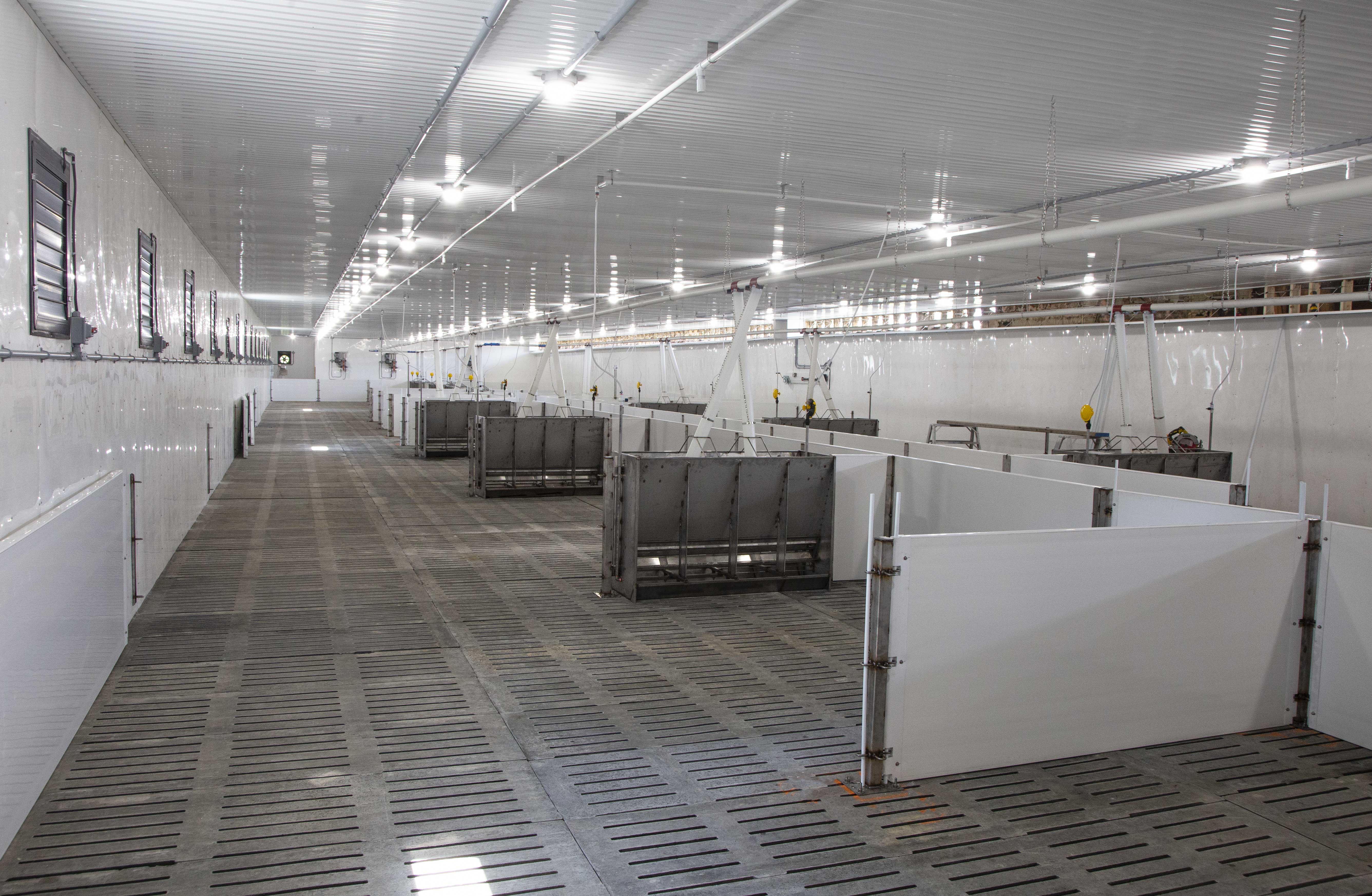 Material Choices in Livestock Buildings to Combat Corrosion