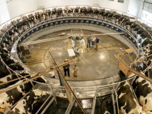 automated dairy courtesy of White Horse Construction