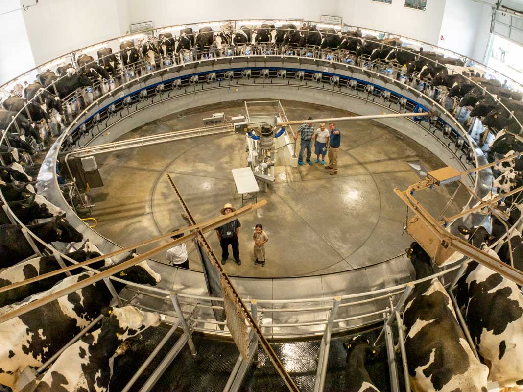 Project of the Month: Automated Dairy Facility