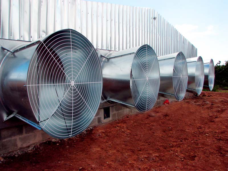 Designing Effective Agricultural Ventilation: Key Differences Between Crop Storage and Livestock Housing