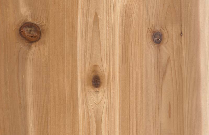 Booth 621: Tru-Steel HD digitally-printed steel. Pattern shown above: Smooth Cedar.