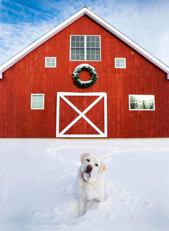 Diane Diederich-stock.Adobe.com