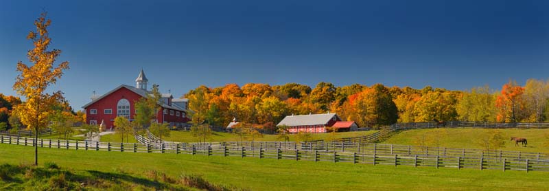 Reimar-stock.Adobe.com