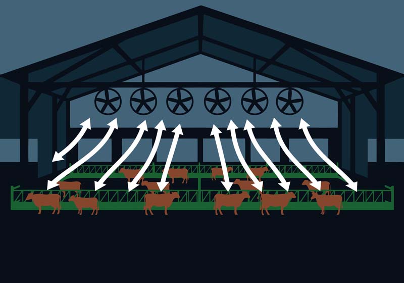 Agricultural Ventilation Systems: Fan Selection, Design, and Real-World Application