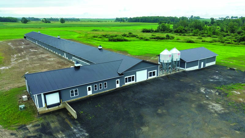 Modern Poultry Facility Designed for Efficiency and Long-Term Performance