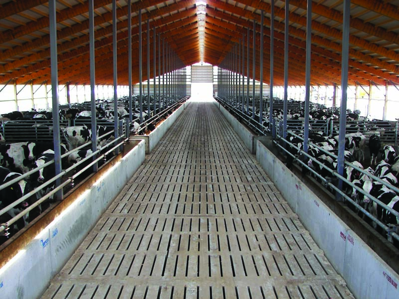 Flashback: Cattle Barns Then & Now: What a Decade Has Changed