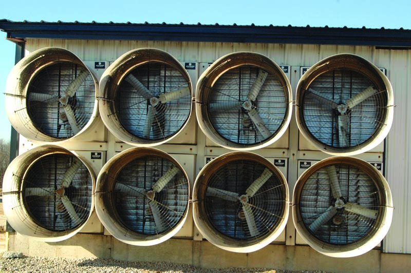 Flashback: Tunnel Ventilation Trends in Agricultural Buildings
